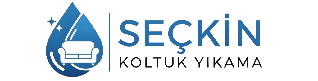 Seçkin Koltuk Yıkama